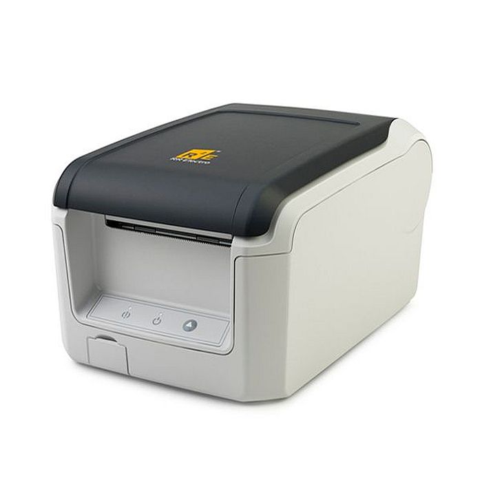 ������-����� ���� �������